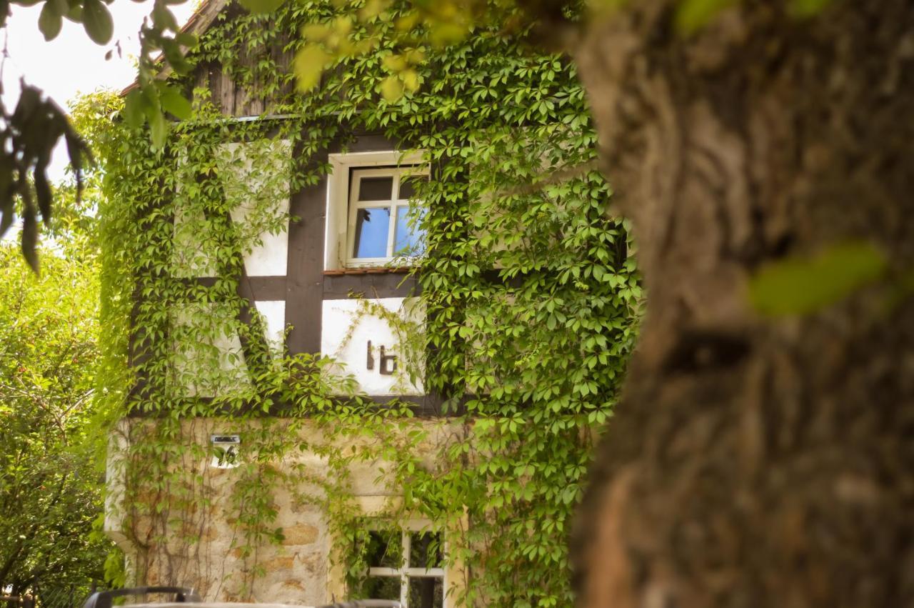 Naturferienwohnung Schopstal Kunnersdorf Bagian luar foto