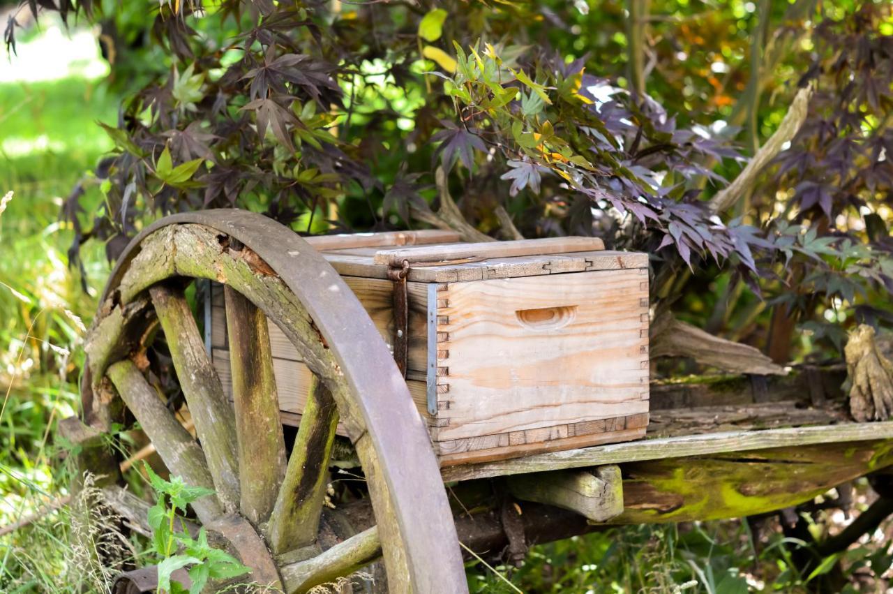 Naturferienwohnung Schopstal Kunnersdorf Bagian luar foto